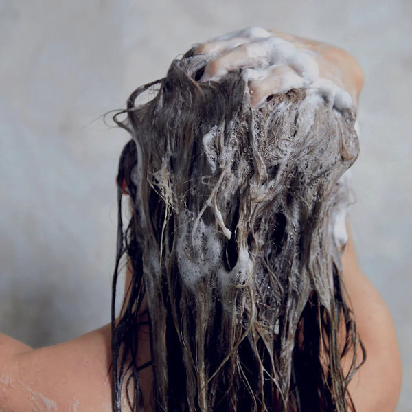 Ageless Shampoo – Regenerating Age-Defying Hair Cleanser